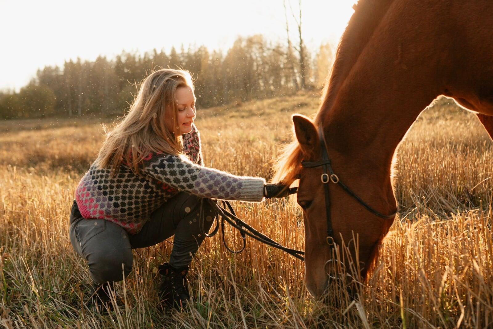 Feel Good Hevospalvelut